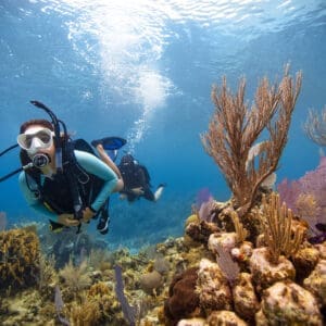 Beginner Scuba Lessons