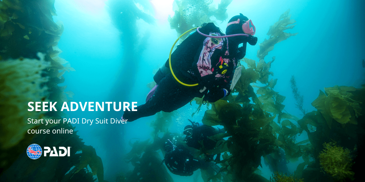 PADI Dry Suit Diver underwater adventure.