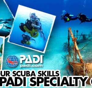 PADI scuba specialty course: improve skills.