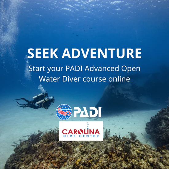 PADI Advanced Open Water Diver course online.