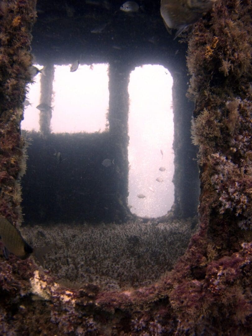 Underwater view inside a sunken ship.