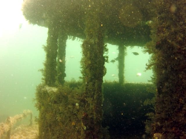 Underwater structure covered with marine growth.