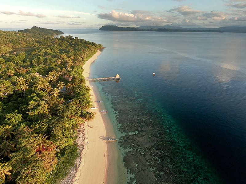 Tropical beach with lush greenery and pier.