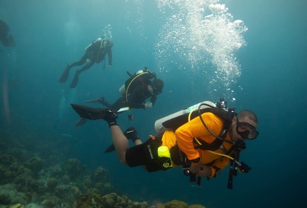 Scuba divers exploring underwater coral reef.