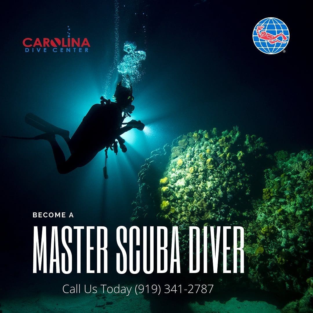 Scuba diver exploring underwater reef at night.