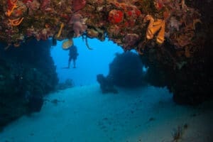 Underwater cave with diver and coral.