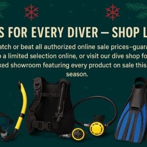 Scuba diving equipment with holiday theme.