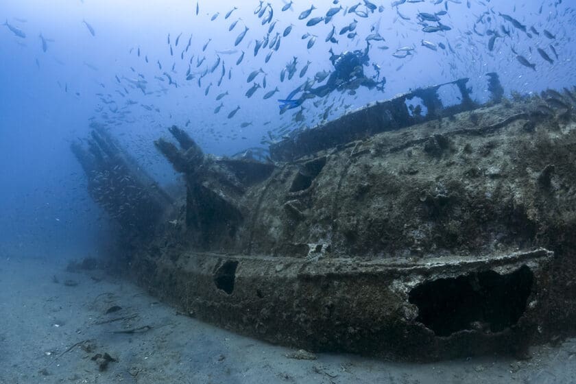 Diver exploring underwater shipwreck with fish.