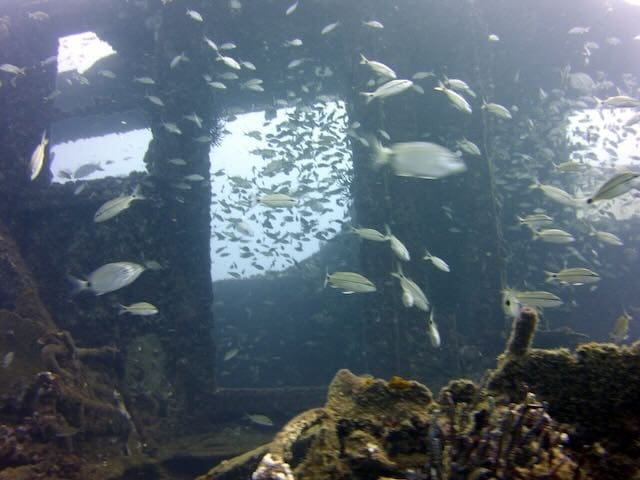 Underwater shipwreck with swimming fish.