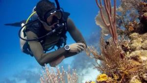 Scuba diver exploring vibrant coral reef underwater.