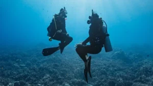 Two scuba divers underwater in the ocean.